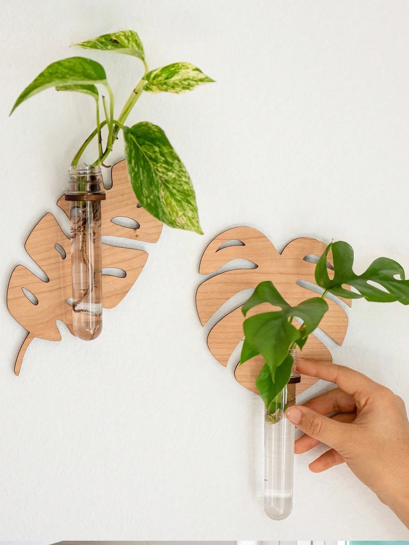 1/2 Pcs Wooden Monstera Leaf Shape Wall Mounted Hydroponics Tubes - Brand New