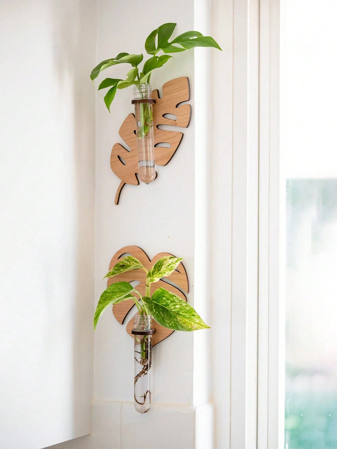 1/2 Pcs Wooden Monstera Leaf Shape Wall Mounted Hydroponics Tubes - Brand New