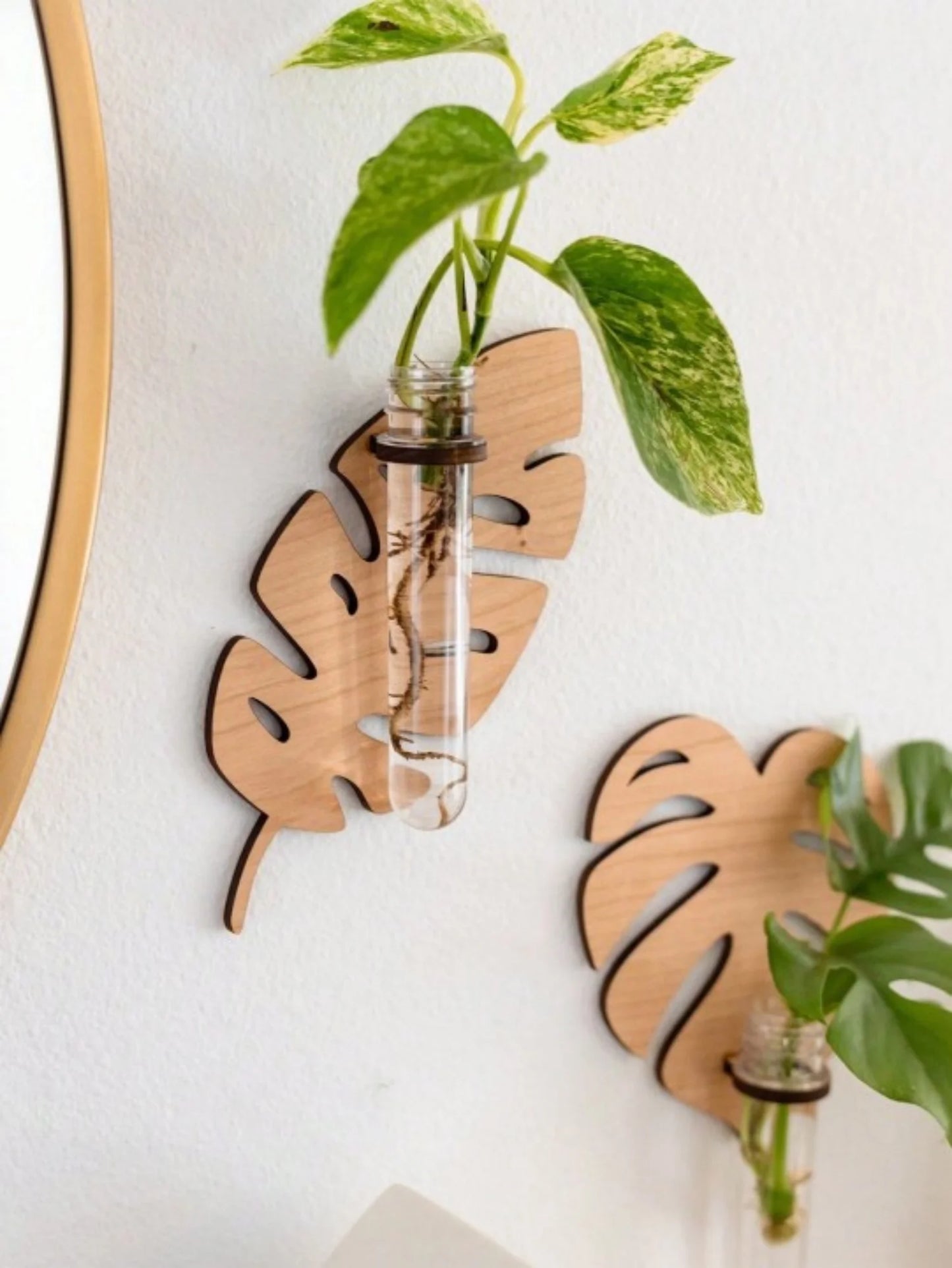1/2 Pcs Wooden Monstera Leaf Shape Wall Mounted Hydroponics Tubes - Brand New
