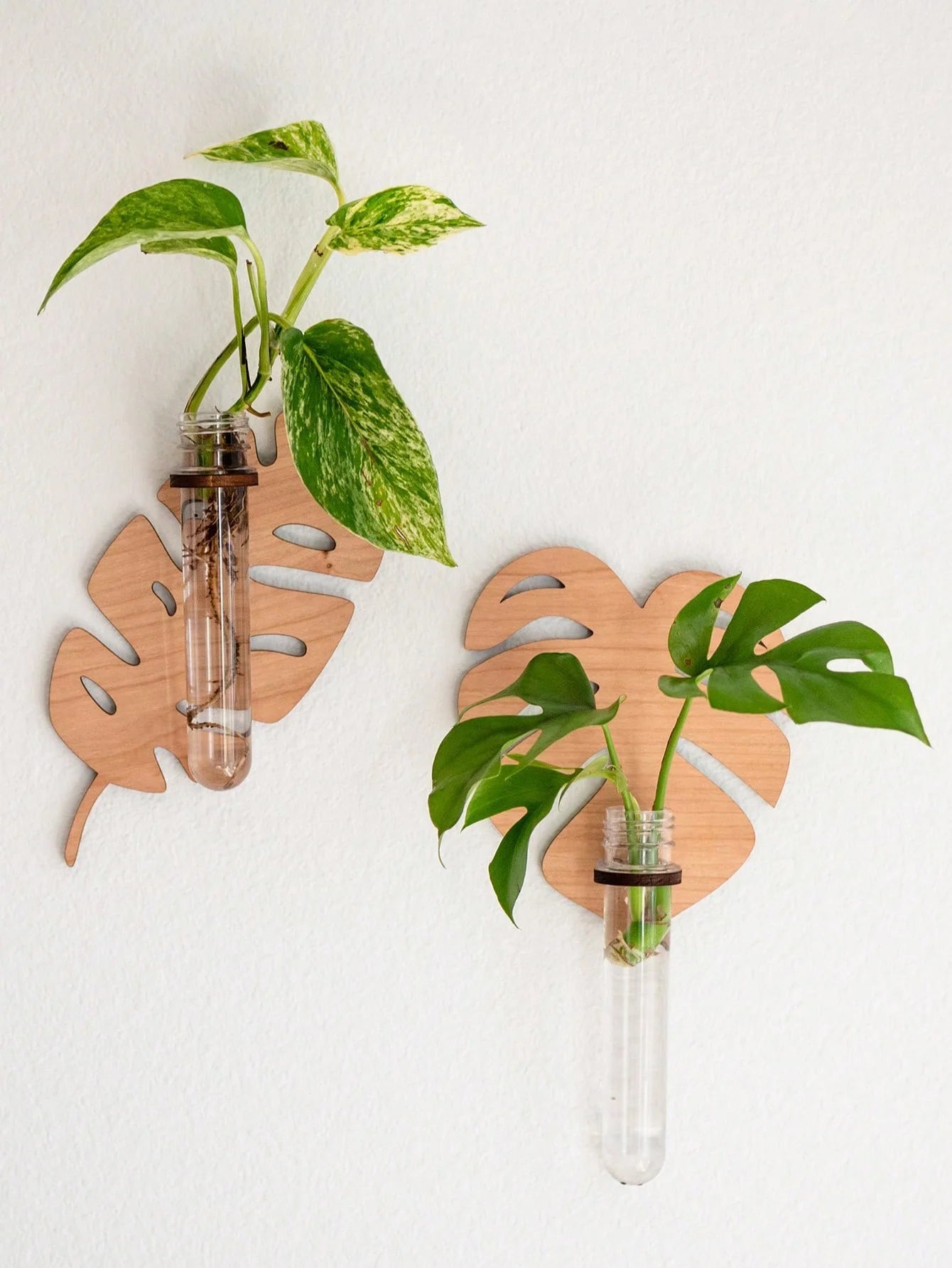 1/2 Pcs Wooden Monstera Leaf Shape Wall Mounted Hydroponics Tubes - Brand New