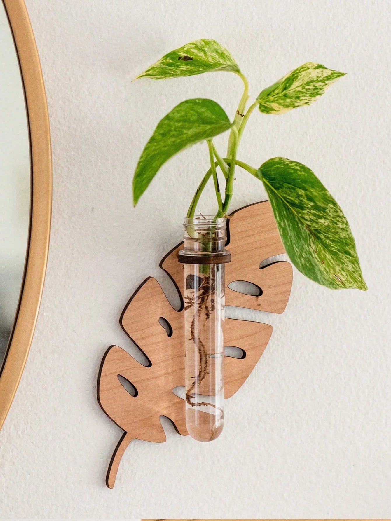 1/2 Pcs Wooden Monstera Leaf Shape Wall Mounted Hydroponics Tubes - Brand New